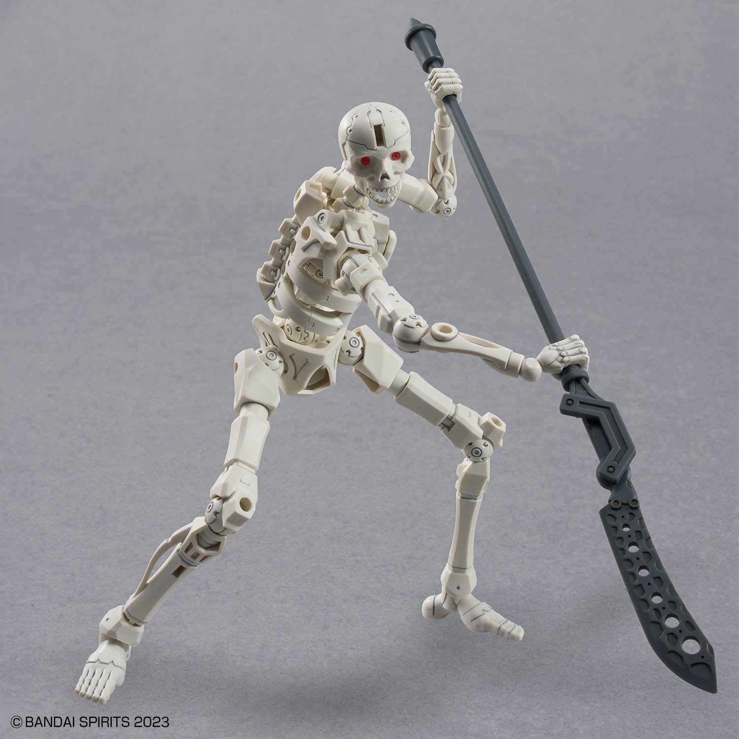 30MF DLRSkeleton