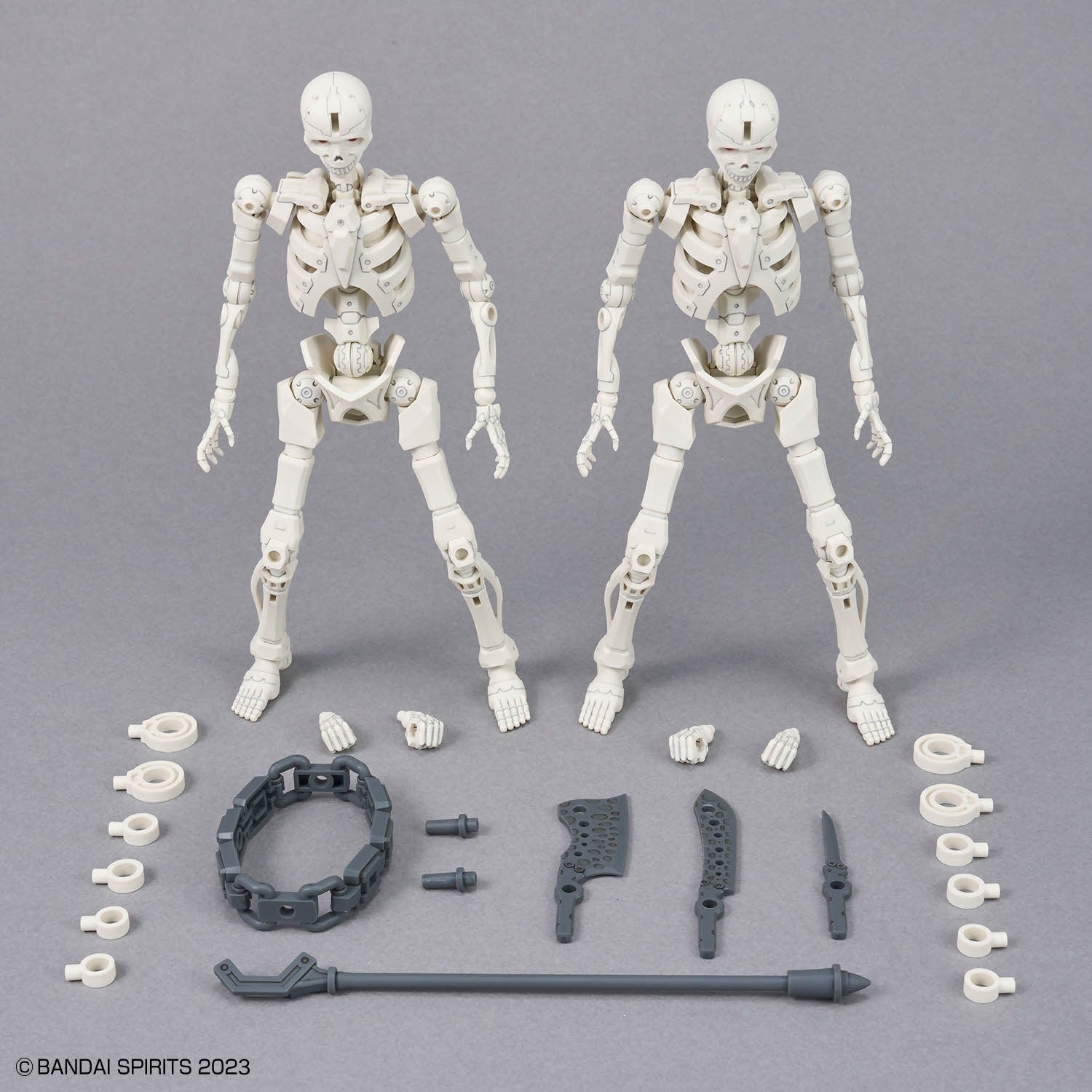 30MF DLRSkeleton