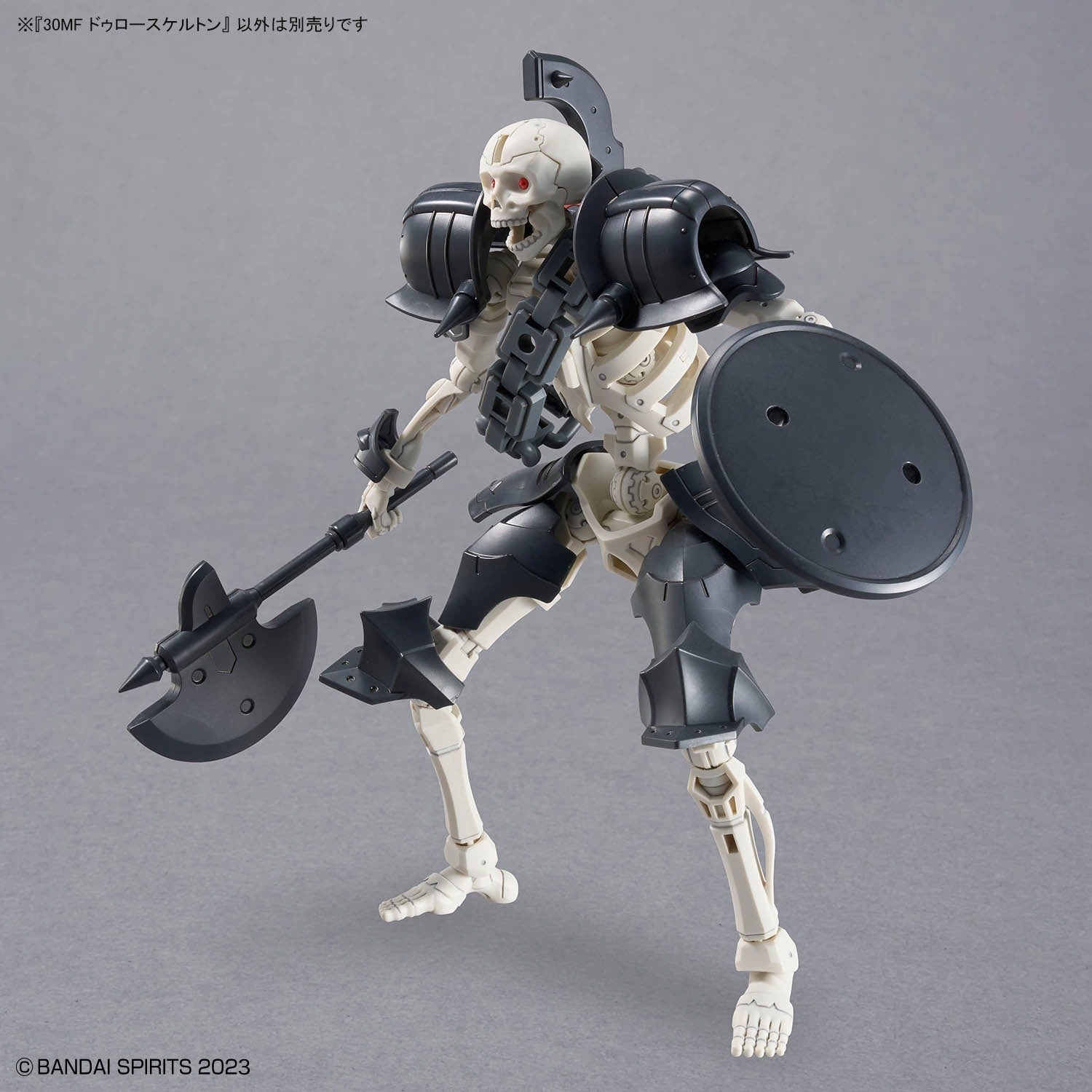 30MF DLRSkeleton