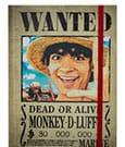 One Piece Notebook Steckbriefe