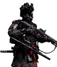 Special Warfare Ming Dynasty Extreme Zone Action Figure 1/6 Jinyiwei 28 cm