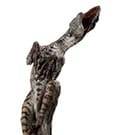 Jurassic Park III Maquette 1/4 Female Velociraptor White Queen 103 cm