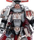 Warhammer 40k Action Figure 1/18 Grey Knights Castellan Crowe 12 cm