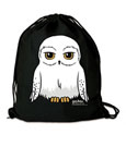 Harry Potter-Fitnessstudio hinter Hedwig
