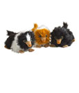 Phantastische Tierwesen 2 Plüschfiguren Baby Nifflers 15 cm Display (9)