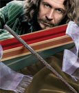 Harry Potter – Sirius Blacks Zauberstab