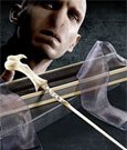 Harry Potter – Voldemorts Zauberstab