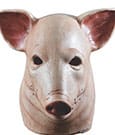 Trick or Treat Studios Originals Mask Blood Pig