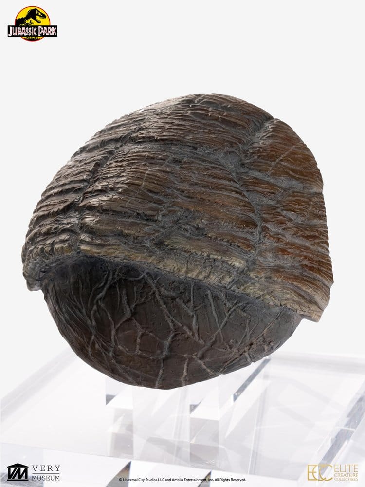 Jurassic Park 1/1 Replica Triceratops Toenail 16 cm