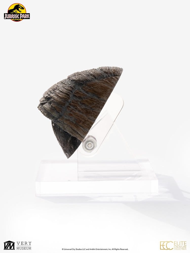 Jurassic Park 1/1 Replica Triceratops Toenail 16 cm