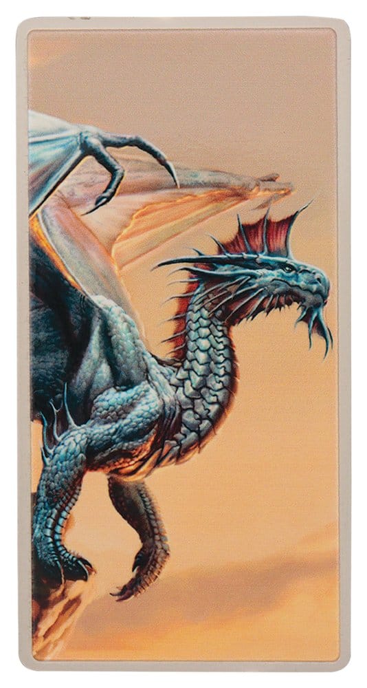 Dungeons & Dragons Ingot Set Magnet Warrior Limited Edition