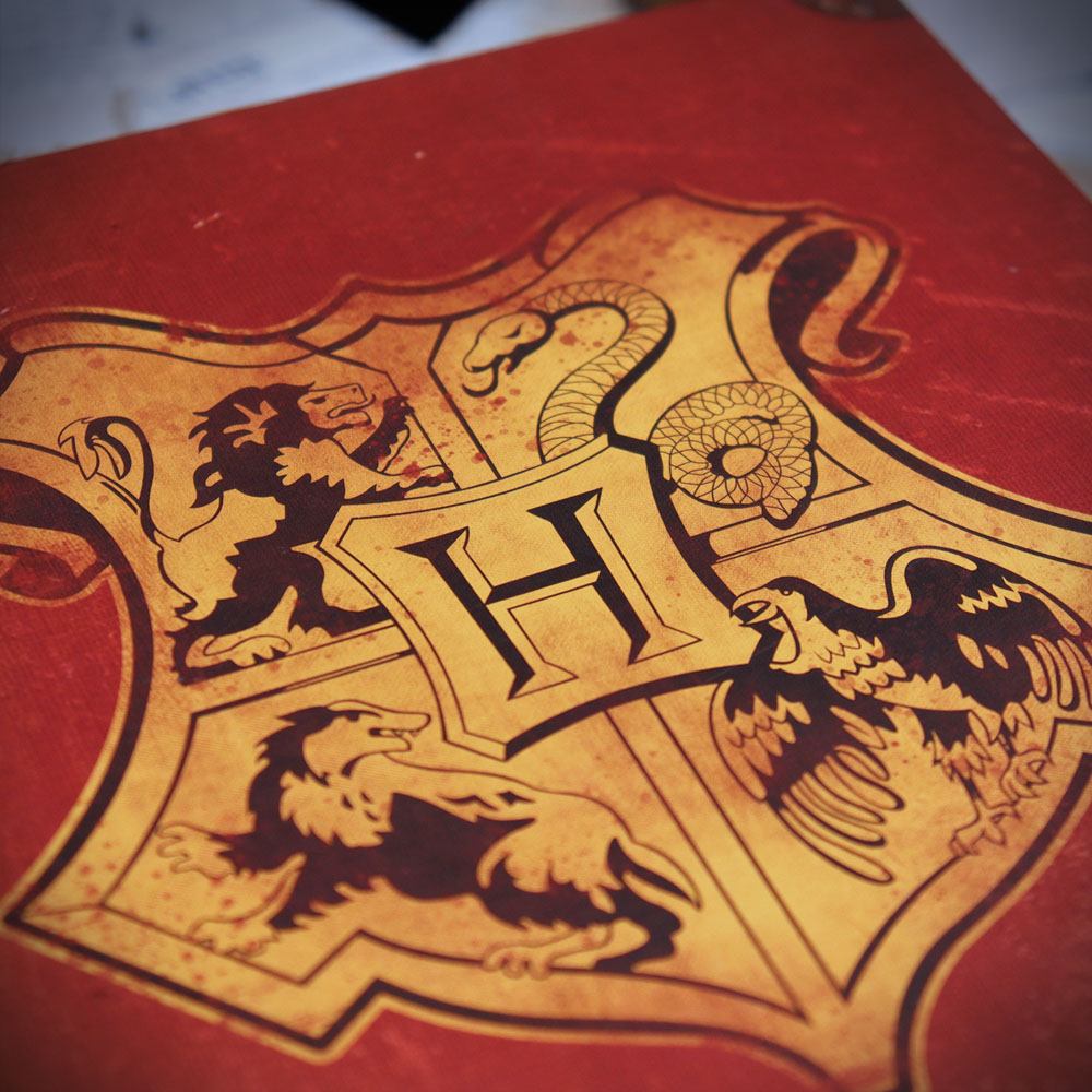 Harry Potter Sammler-Geschenkbox, Harry Potters Reise nach Hogwarts-Sammlung