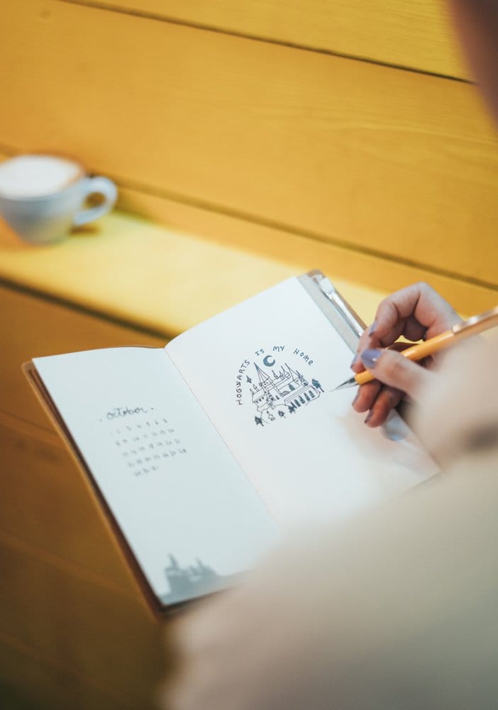 Harry Potter Travel Journal Hufflepuff 20 cm