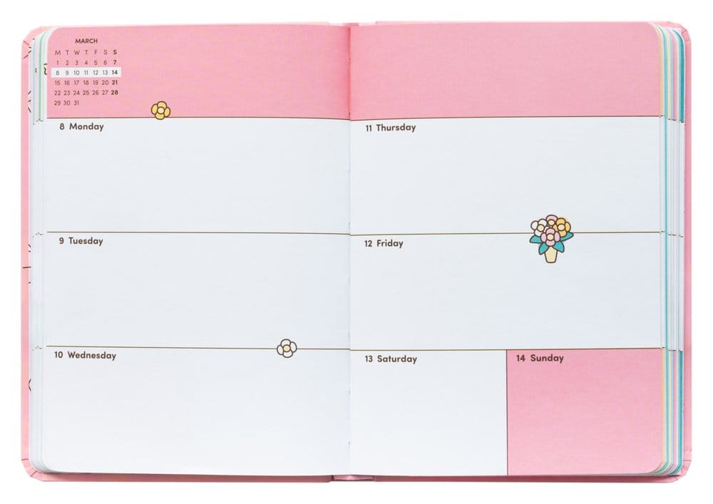 Pusheen Academic Planner Tropical Vacation 2026/27 A6 *English Version*