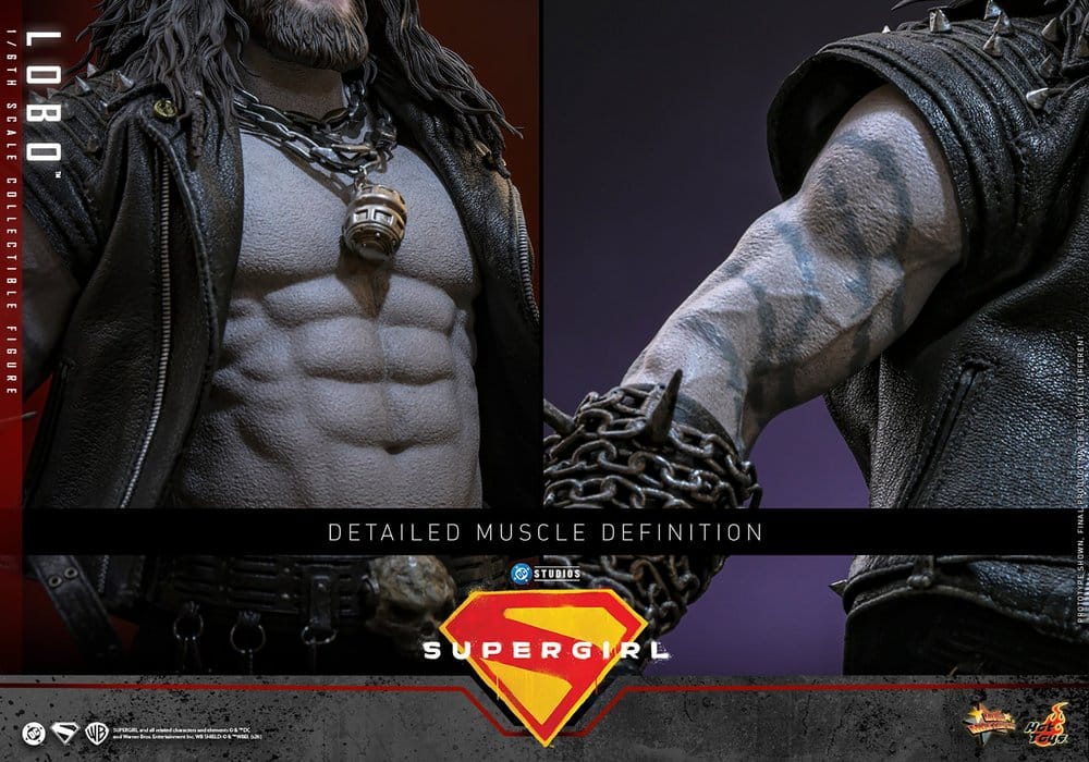 DC Comics Movie Masterpiece Action Figure 1/6 Lobo 33 cm
