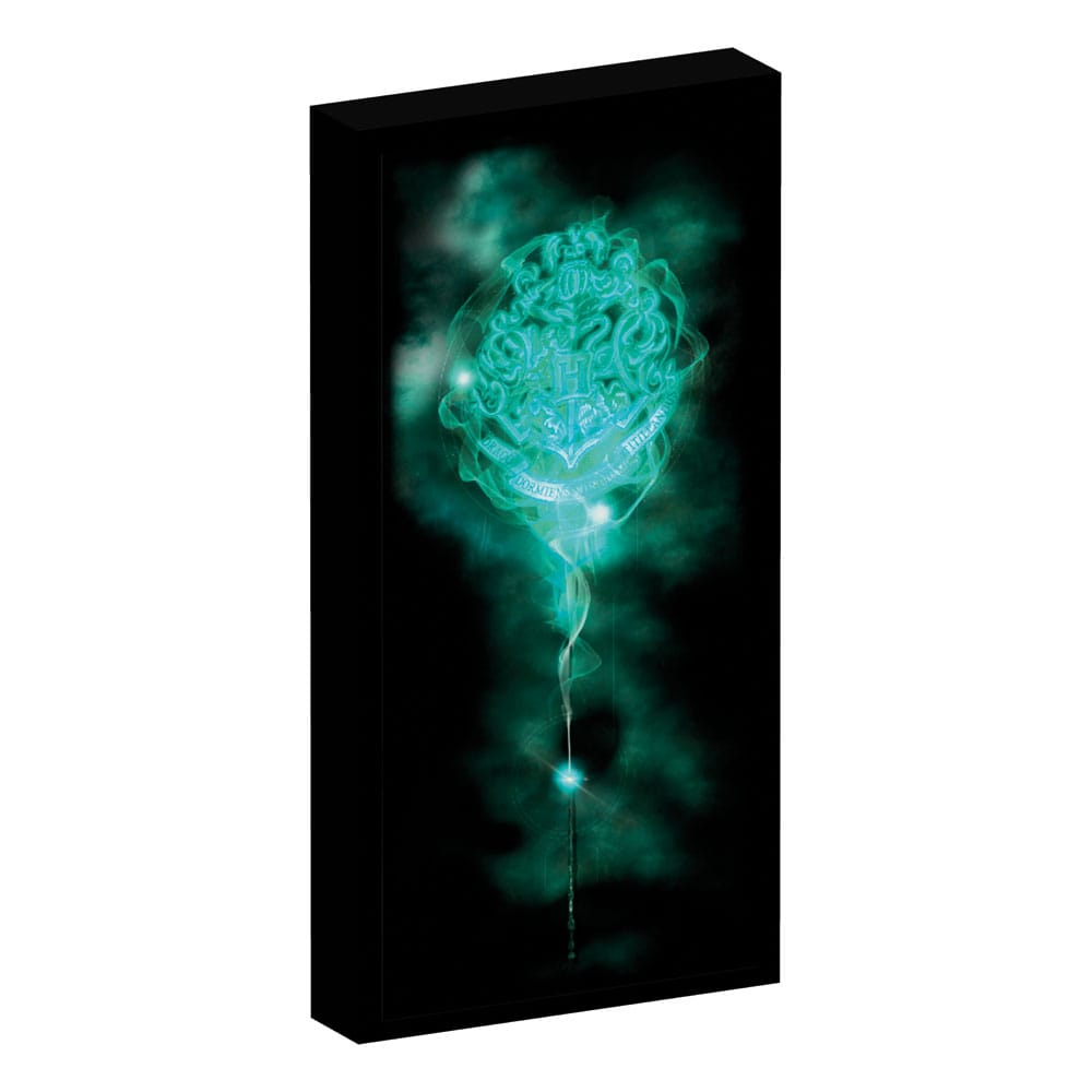 Harry Potter Canvas Poster (With Light)