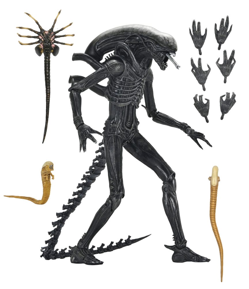 Alien: Romulus Action Figure Ultimate Xenomorph XX121 18 cm