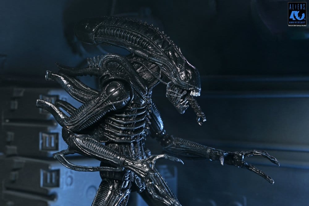 Aliens Ultimate Action Figure Warrior (1986) Xenomorph Black (40th Anniversary) 23 cm