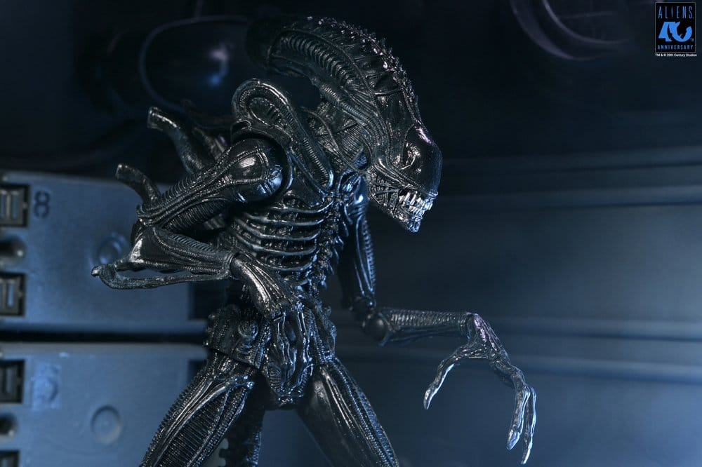 Aliens Ultimate Action Figure Warrior (1986) Xenomorph Black (40th Anniversary) 23 cm