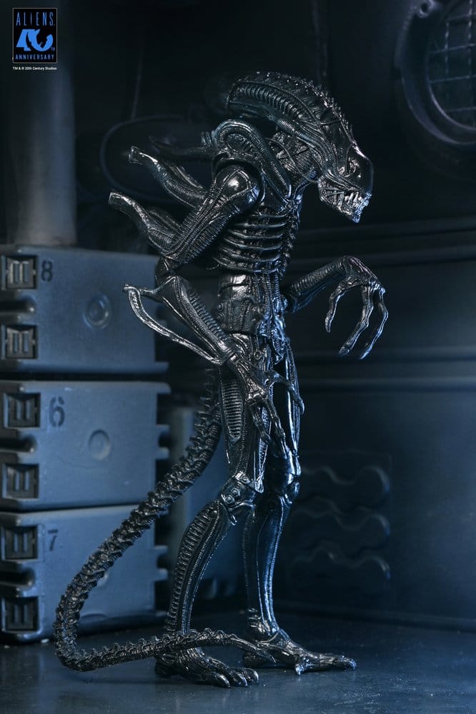 Aliens Ultimate Action Figure Warrior (1986) Xenomorph Black (40th Anniversary) 23 cm