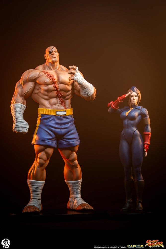 Street Fighter Street Jam Statue 1/10 Sagat & Juli 24 cm