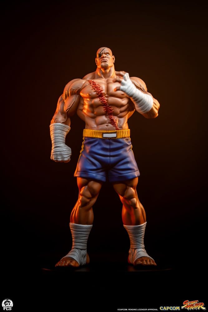 Street Fighter Street Jam Statue 1/10 Sagat & Juli 24 cm