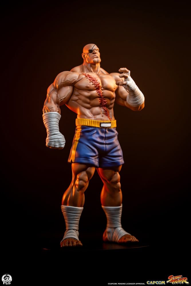 Street Fighter Street Jam Statue 1/10 Sagat & Juli 24 cm