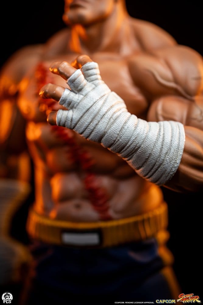 Street Fighter Street Jam Statue 1/10 Sagat & Juli 24 cm