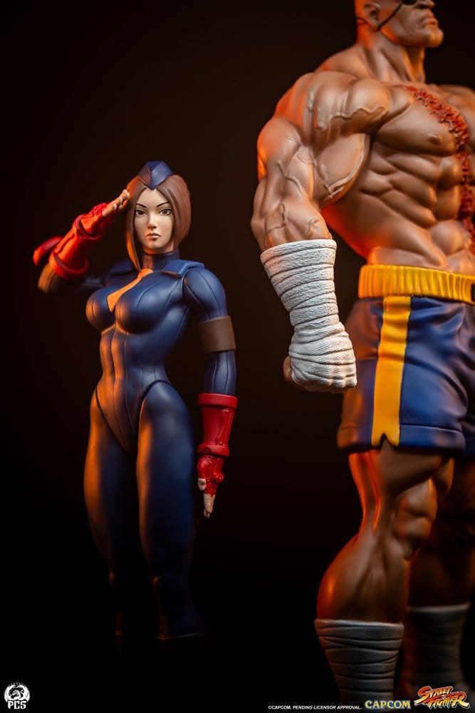 Street Fighter Street Jam Statue 1/10 Sagat & Juli 24 cm