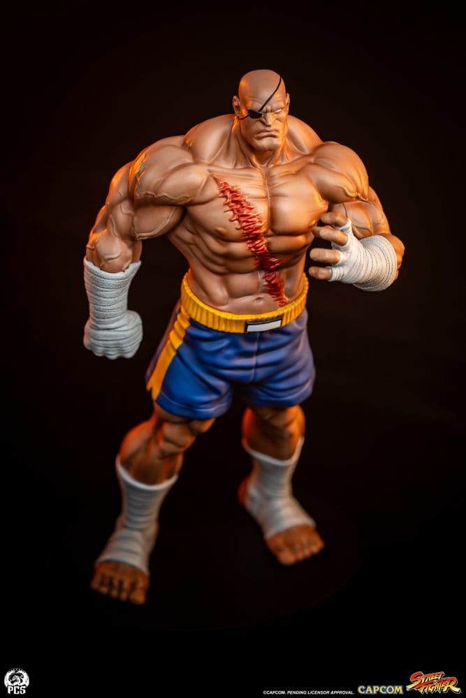 Street Fighter Street Jam Statue 1/10 Sagat & Juli 24 cm