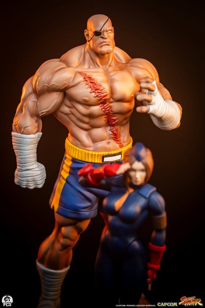 Street Fighter Street Jam Statue 1/10 Sagat & Juli 24 cm
