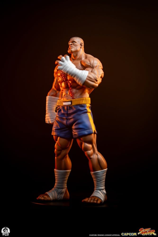 Street Fighter Street Jam Statue 1/10 Sagat & Juli 24 cm