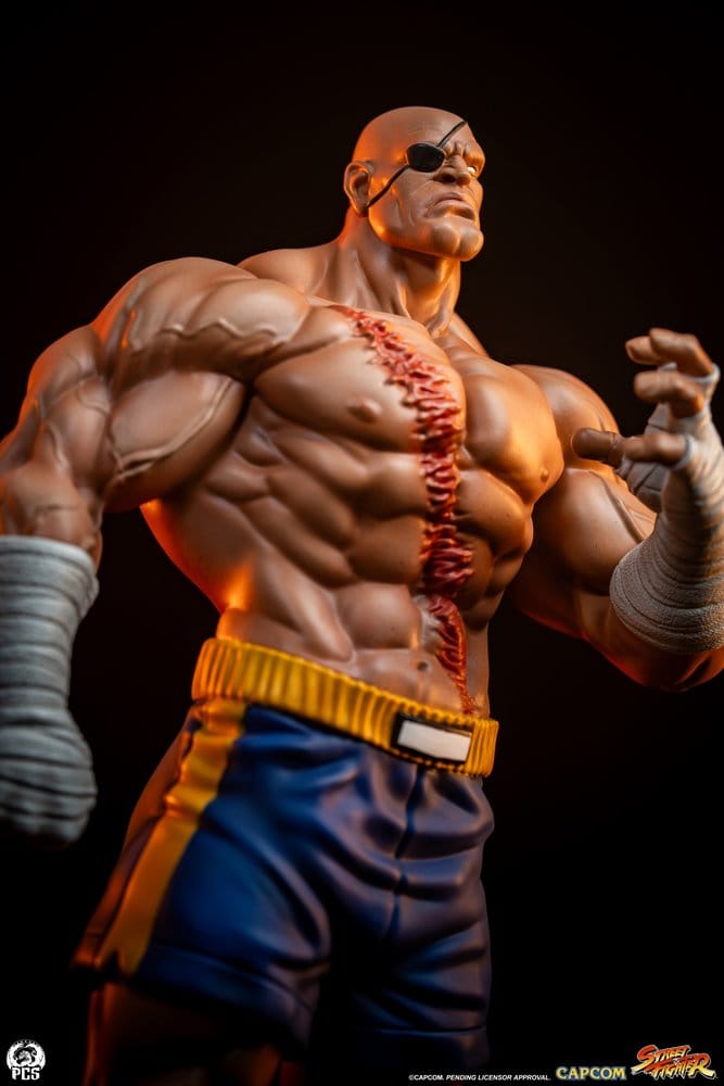 Street Fighter Street Jam Statue 1/10 Sagat & Juli 24 cm