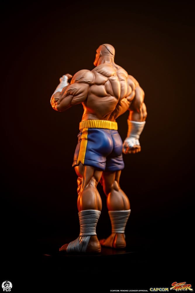 Street Fighter Street Jam Statue 1/10 Sagat & Juli 24 cm