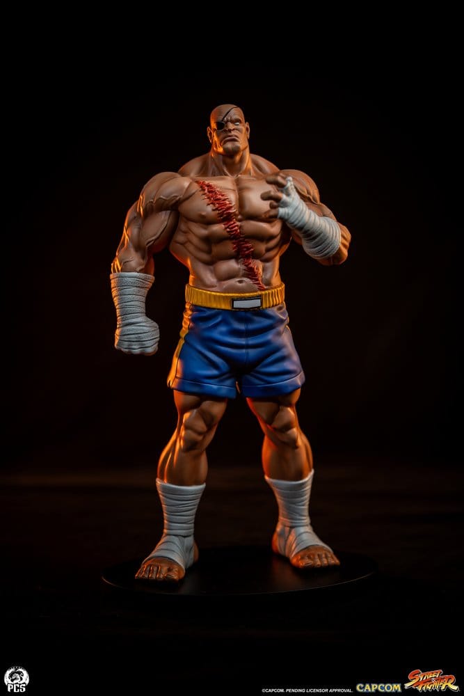 Street Fighter Street Jam Statue 1/10 Sagat & Juli 24 cm