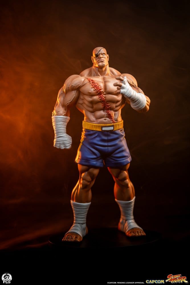 Street Fighter Street Jam Statue 1/10 Sagat & Juli 24 cm