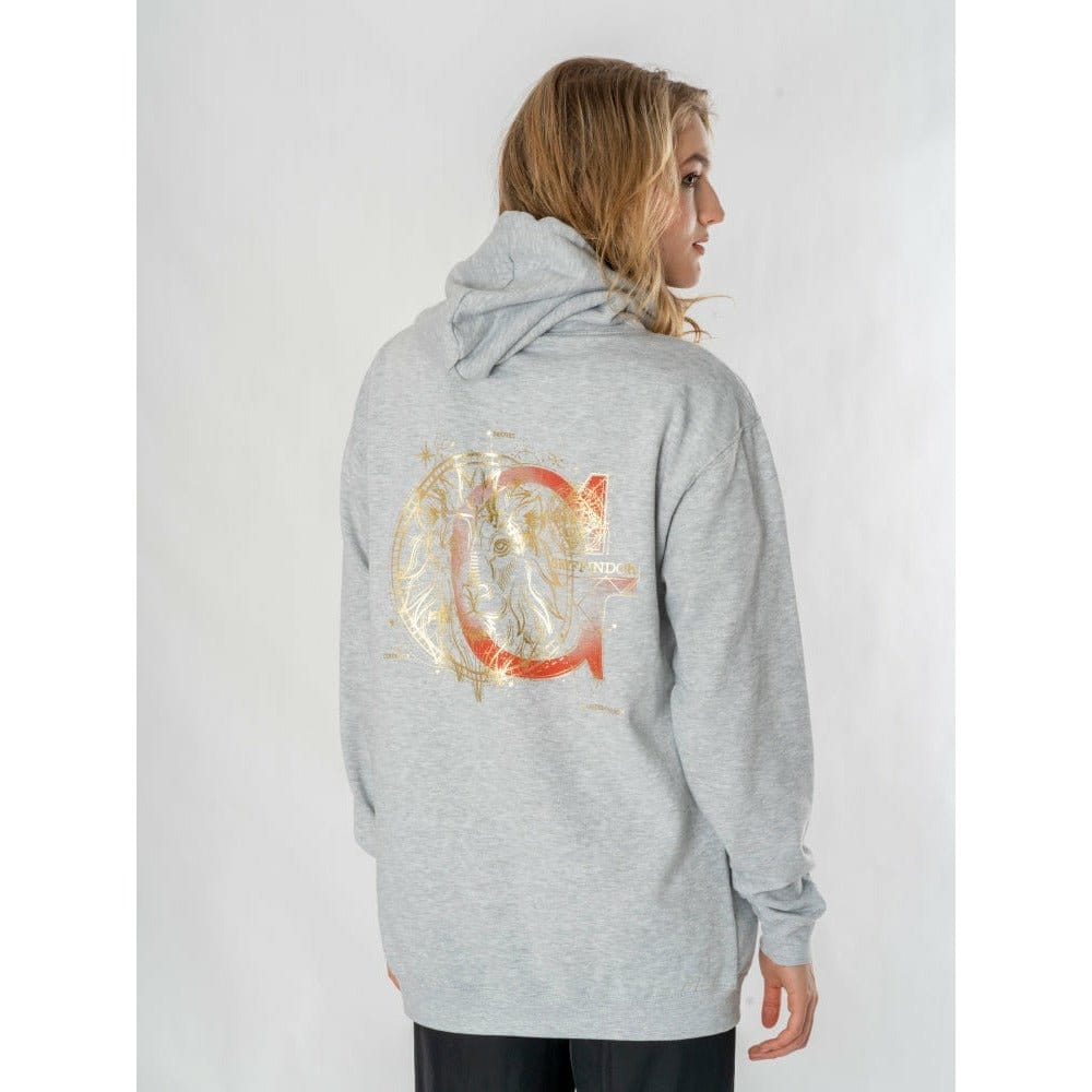 Harry Potter Hooded Sweater Gryffindor Zodiac Size L