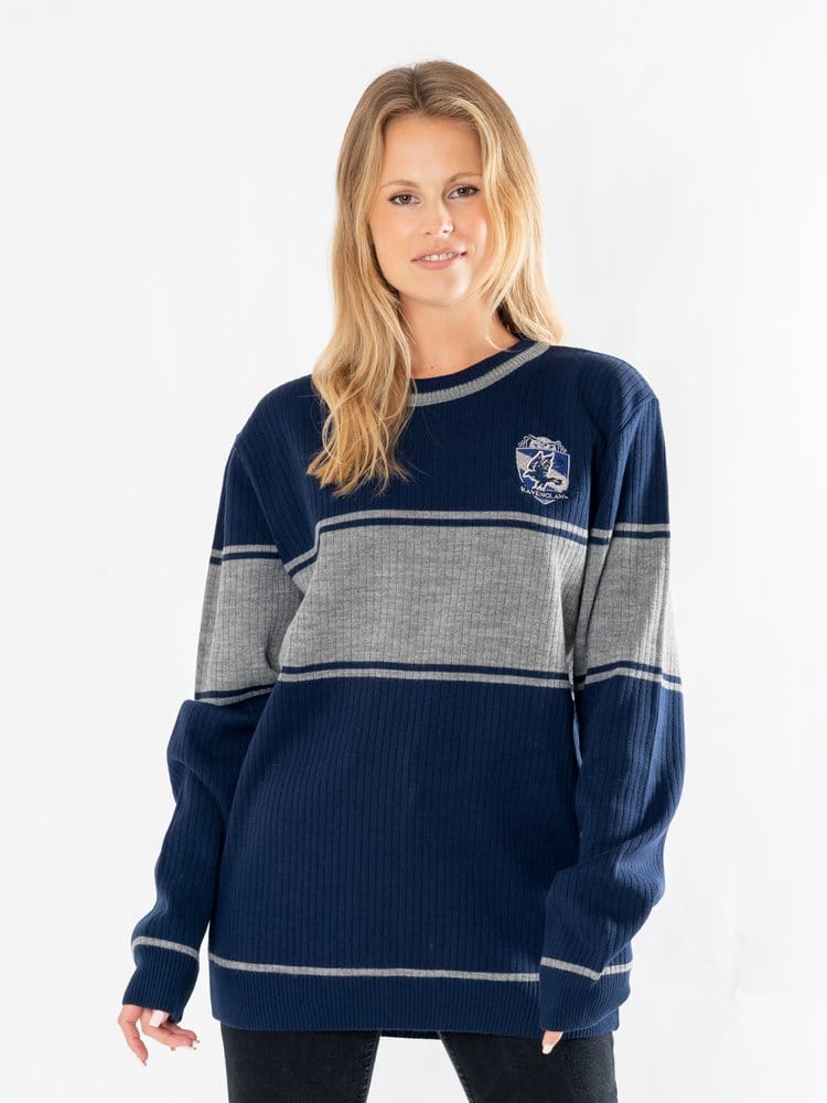 Harry Potter Sweater Ravenclaw Size XXL