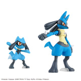 Pokémon Riolu and Lucario