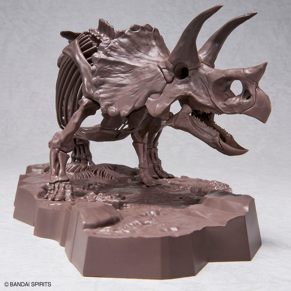 1/32 Imaginary Skeleton Triceratops