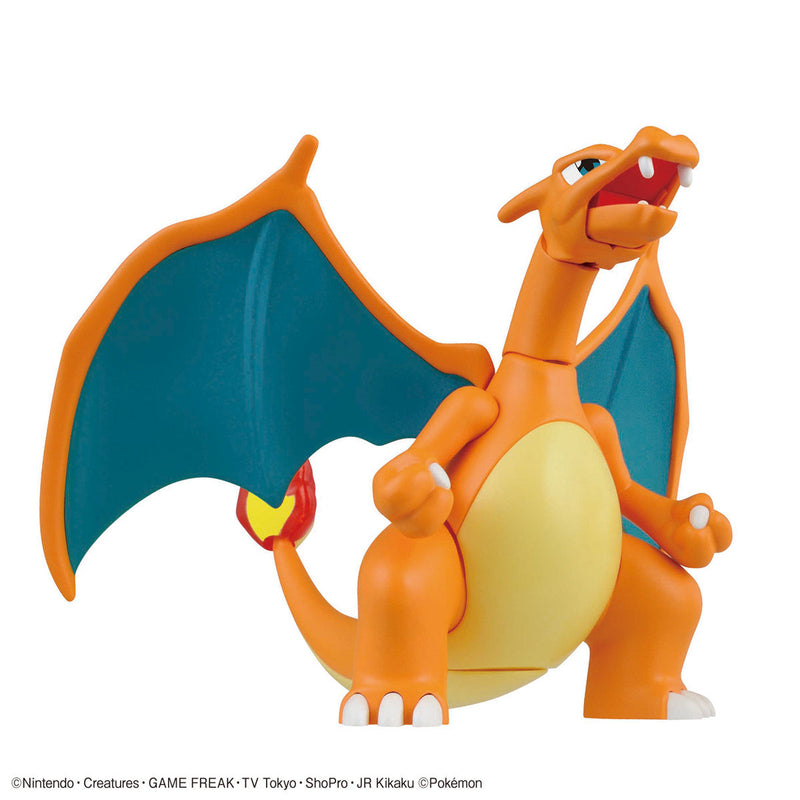 Pokémon Charizard (Battle Ver.) & Dragonite
