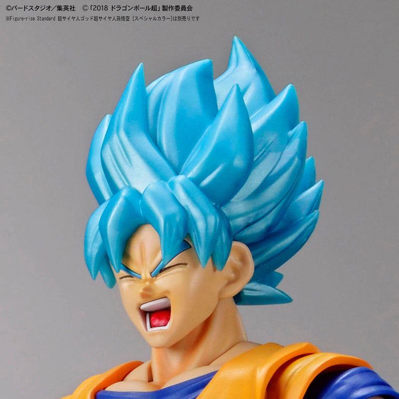 Dragon Ball Z - Super Saiyan Broly Full Power