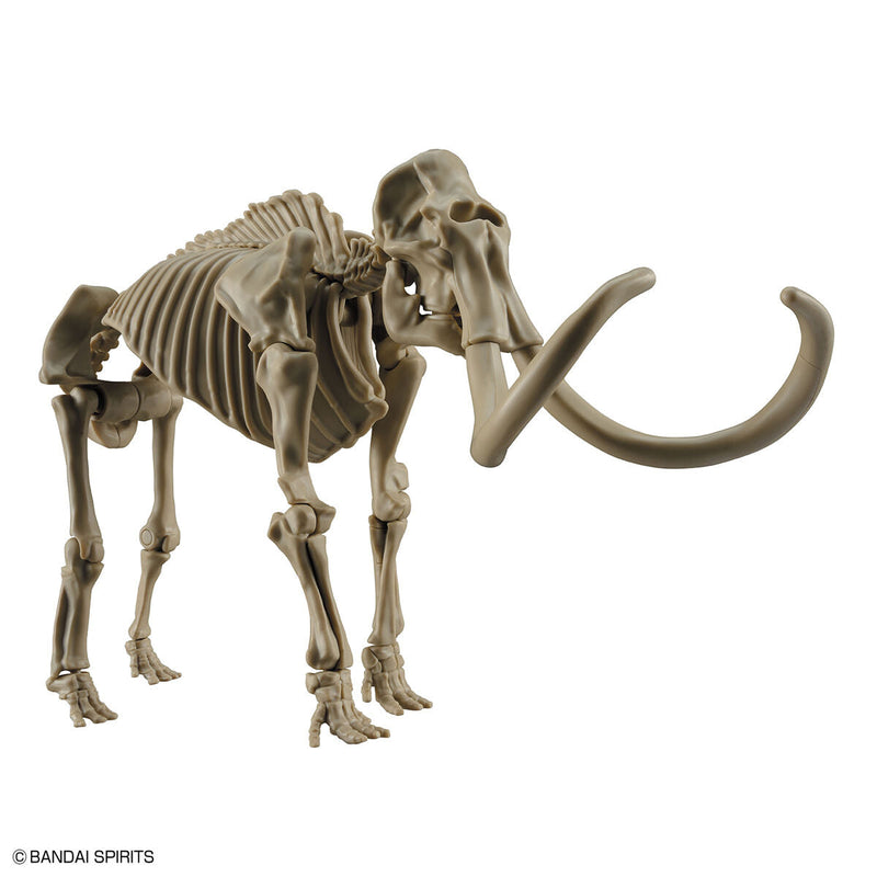 Exploring Lab Nature Mammoth *Damaged box*