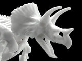 Limex - Dinosaur Skeleton Triceratops