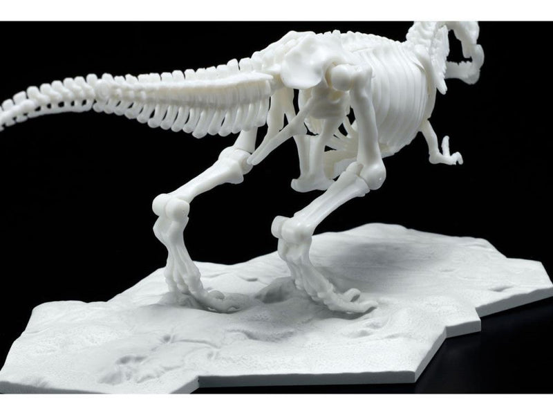 Limex - Dinosaur Skeleton Tyrannosaurus Rex