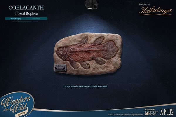Wonders of the Wild Mini Replica Coelacanth Fossil 32 cm